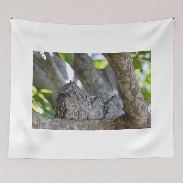 Item preview, Learning To Be A Frogmouth designed and sold by byronbackyard.