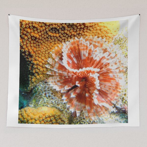 Item preview, Red and White Feather Duster Coral Worm designed and sold by Amy McDaniel.
