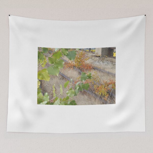 Item preview, Late Autumn Colors and Foliage, High Line, New York City's Elevated Garden and Park  designed and sold by lenspiro.