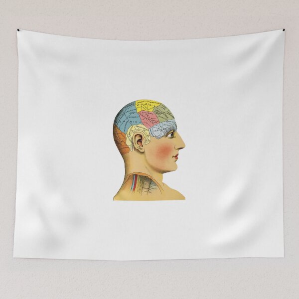 Item preview, Phrenology Head designed and sold by Thomas Terceira.