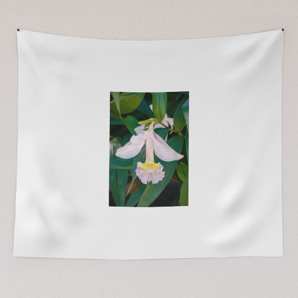 Item preview, White orchid designed and sold by torishaa.