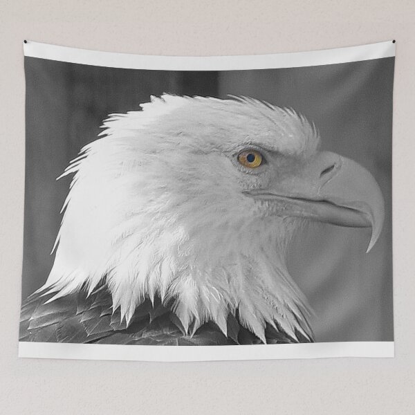 Item preview, Bald Eagle Profile designed and sold by ADM Photography.
