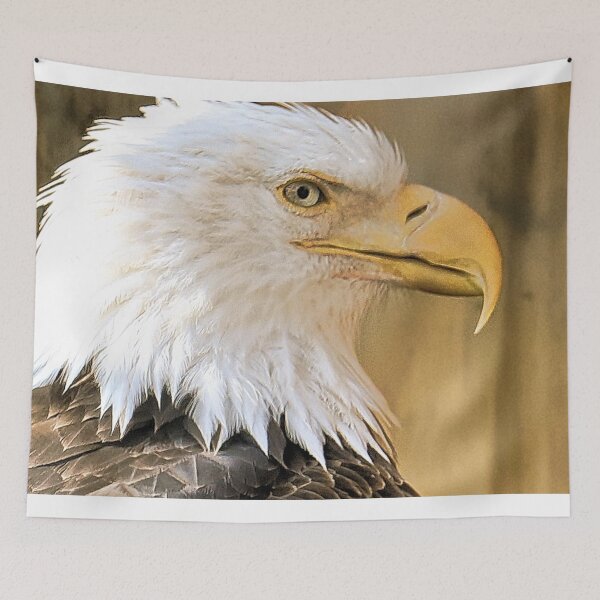 Item preview, Bald Eagle Profile II designed and sold by ADM  Photography.