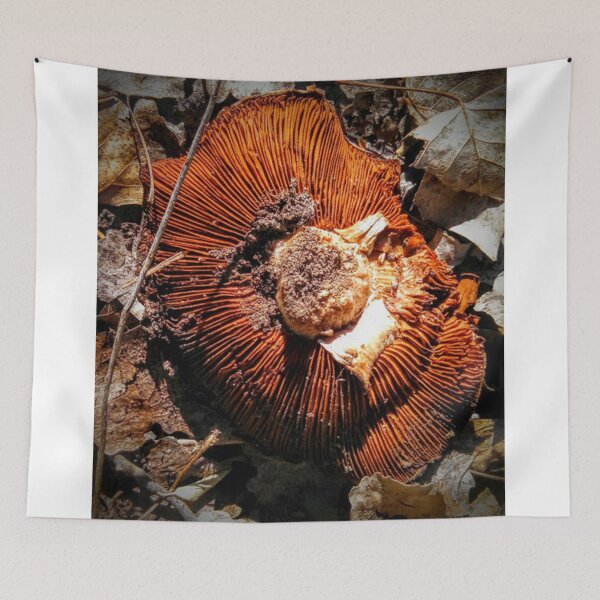 Item preview, Forest Fungi designed and sold by brusling.