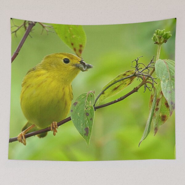 Item preview, Yellow Warbler designed and sold by Enola Gay Wagner.