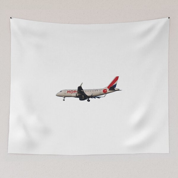 Item preview, ERJ 170 designed and sold by DrTigrou.