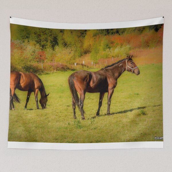 Item preview, Horses in Mabou designed and sold by kenmo.
