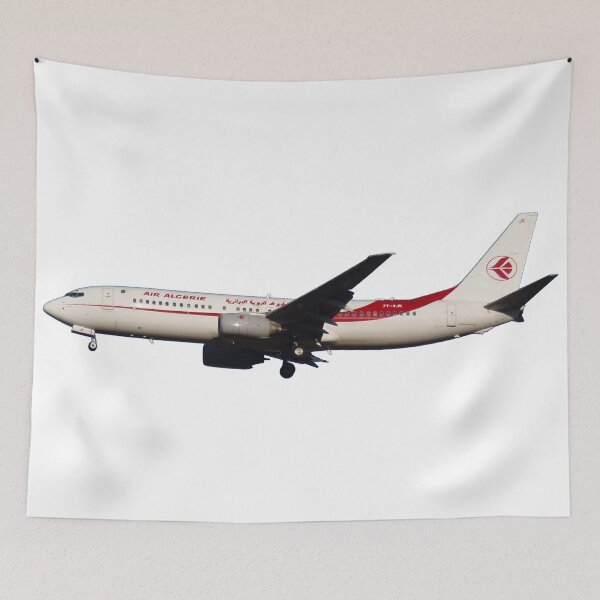 Item preview, Boeing 787 designed and sold by DrTigrou.