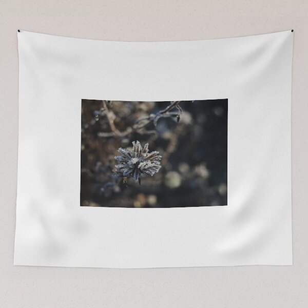 Item preview, Frozen little star designed and sold by Themis.