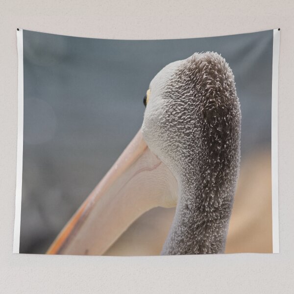 Item preview, Camera shy Pelican (in Batemans Bay/NSW/Australia) designed and sold by Wolf Sverak Photography.