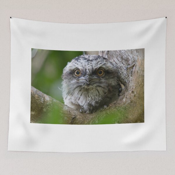 Item preview, Big Eyes designed and sold by byronbackyard.