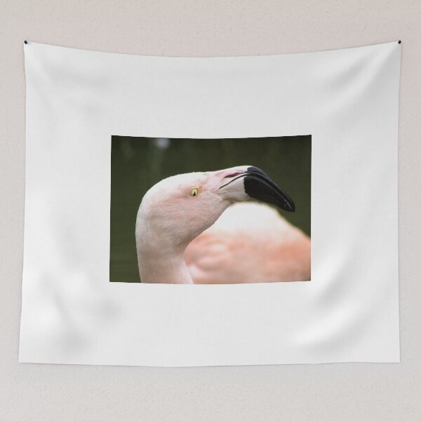 Item preview, Flamingo's Pupil Is A Man designed and sold by EvieTuffs.