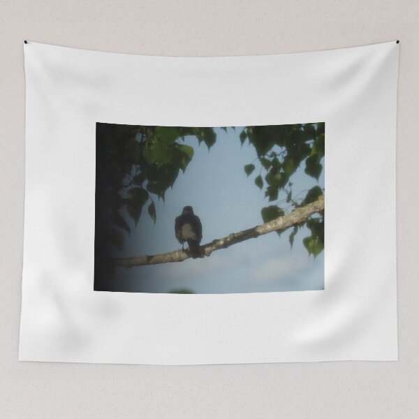 Item preview, Interesting Bird  designed and sold by TKUsitalo.