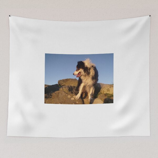 Item preview, I Gotcha. designed and sold by Michael Haslam.