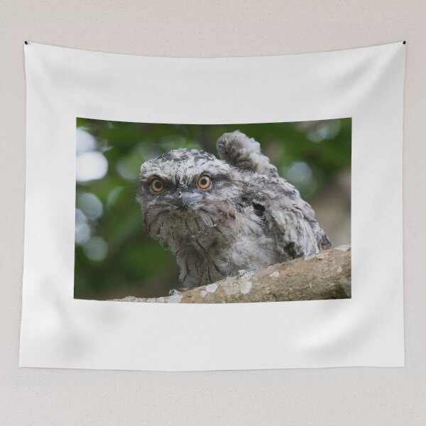 Item preview, Wing Flexing designed and sold by byronbackyard.