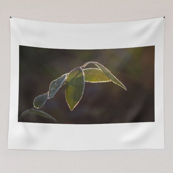 Item preview, Wintertime designed and sold by Tamas KLAUSZ.