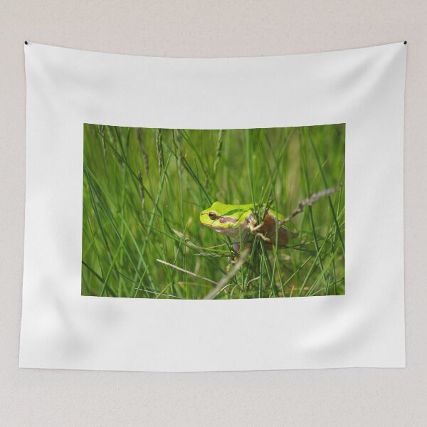 Item preview, green tree frog climb on grass designed and sold by goceris.