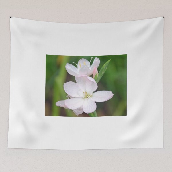 Item preview, A Tiny hint of Pink....... designed and sold by lynn carter.