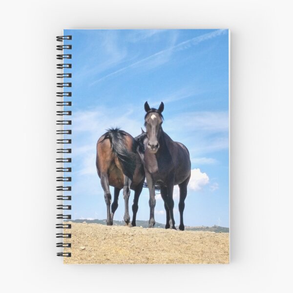 Item preview, Caballos gemelos designed and sold by from Carbonizzo.