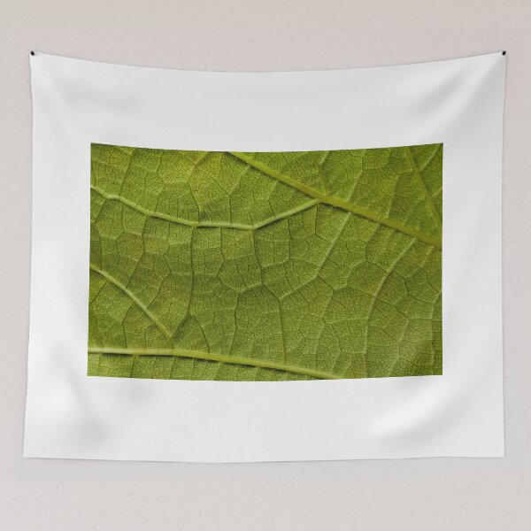 Item preview.