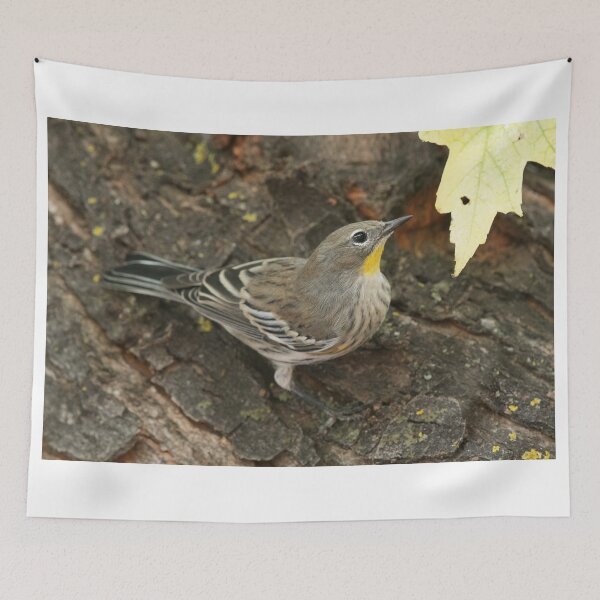 Item preview, Yellow-rumped Warbler designed and sold by WorldDesign.