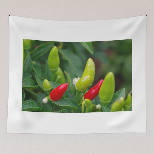 Item preview, Inferno chillies designed and sold by BigAndRed.