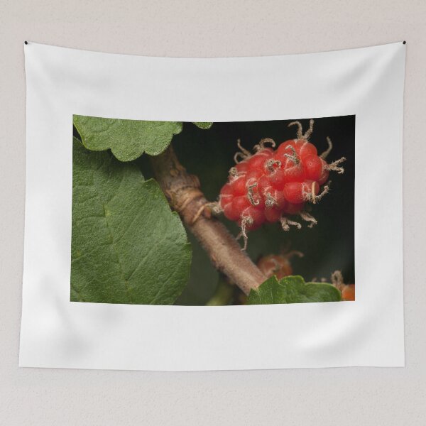 Item preview, Mulberry designed and sold by Natalie Ord.