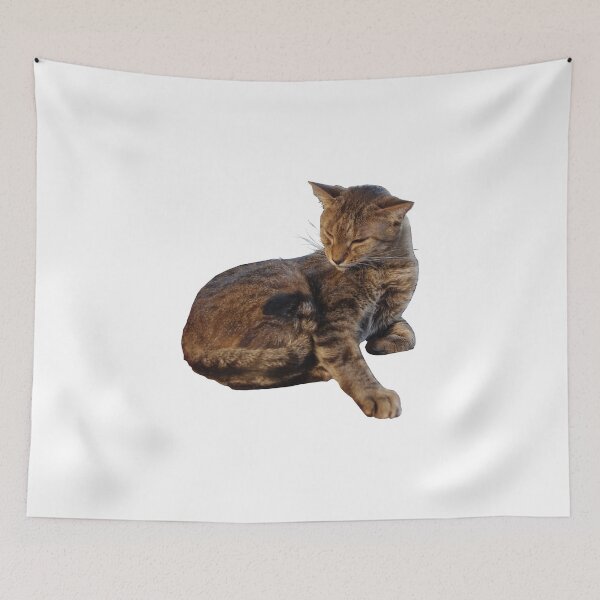 Item preview, Bobby designed and sold by DrTigrou.