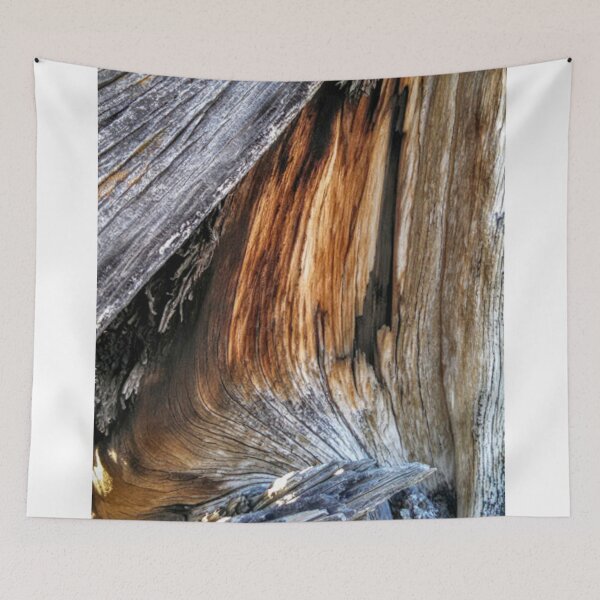 Item preview, Juniper Tree Study II designed and sold by brusling.