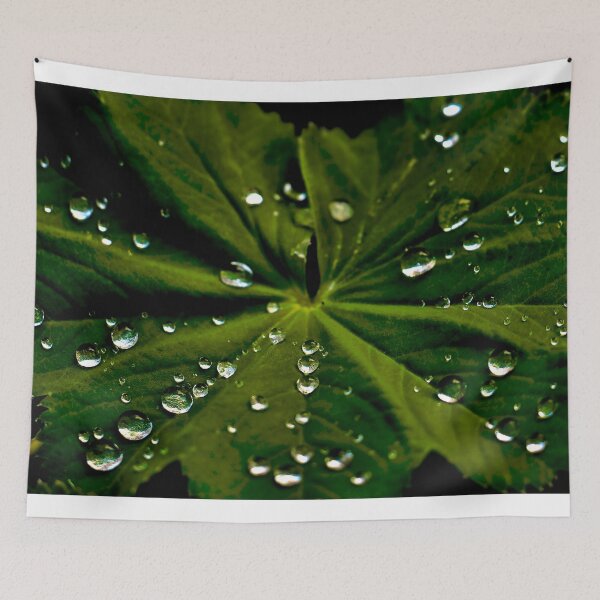 Item preview, Leaf Covered in Raindrops designed and sold by ADM Photography.