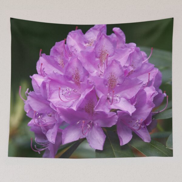 Item preview, Azalea designed and sold by Enola Gay Wagner.