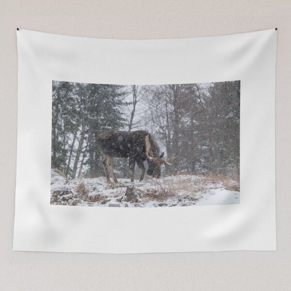 Item preview, Moose in a snow storm designed and sold by Josef Pittner.