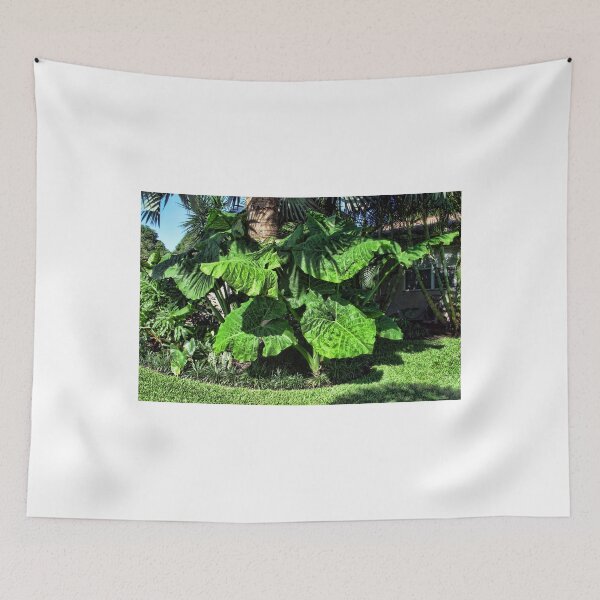 Item preview, The Grand Colocasia Two designed and sold by GolemAura.