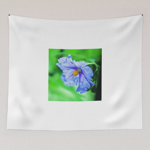 Item preview, Enlighten designed and sold by Godisgr8t2me.