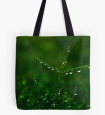 Fragility Tote Bag