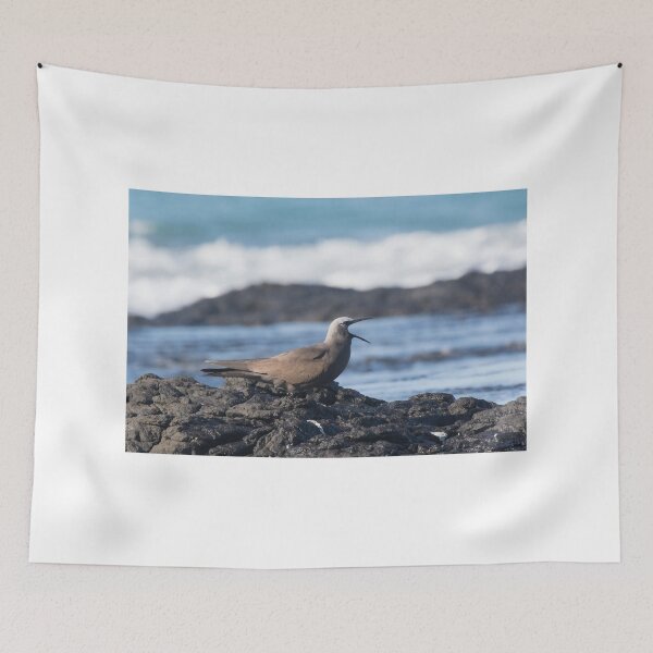 Item preview, Brown Noddy Calling designed and sold by byronbackyard.