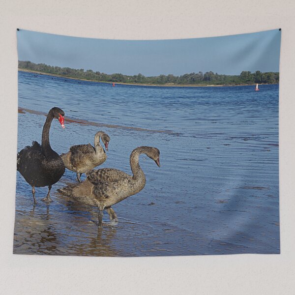 Item preview, Black Swan (Cygnus atratus)  designed and sold by Paul Chubb.