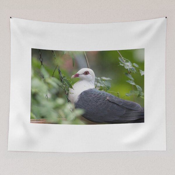 Item preview, Backyard Beauty designed and sold by byronbackyard.