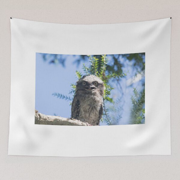 Item preview, Newly Fledged designed and sold by byronbackyard.