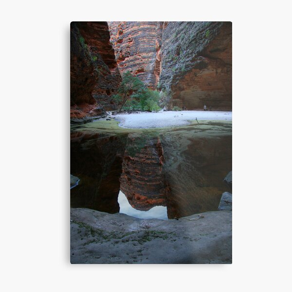 Cathedral Pool Metal Print