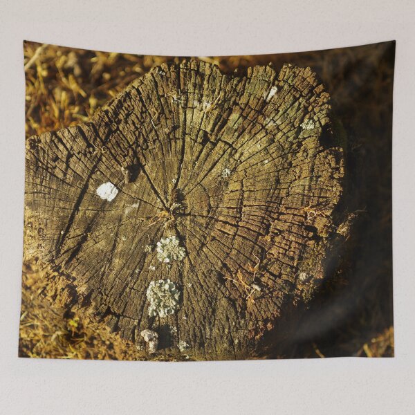 Item preview, Tree Stump designed and sold by Paul Chubb.