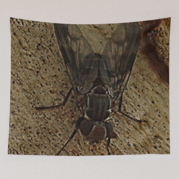 Item preview, Common House Fly designed and sold by Paul Chubb.