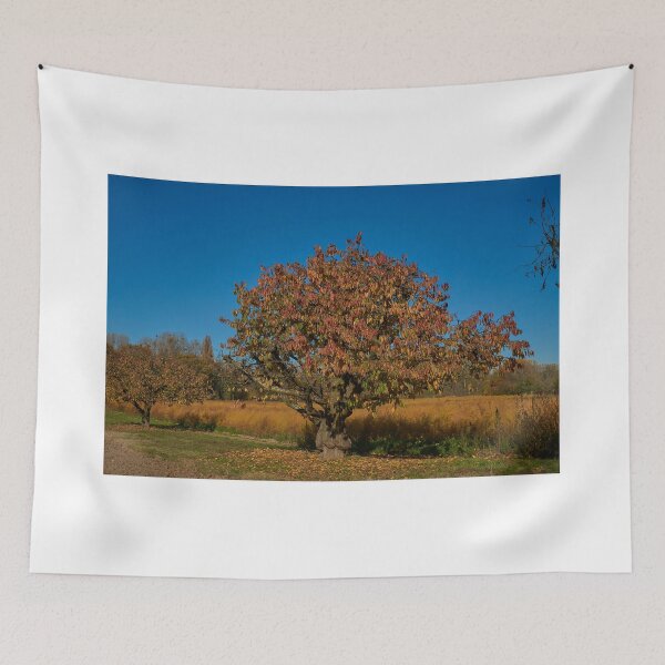 Item preview, Gnarled fruit tree designed and sold by Mark Bangert.