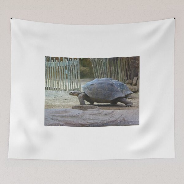 Item preview, On your marks, get set......GO designed and sold by Sandra Willis.