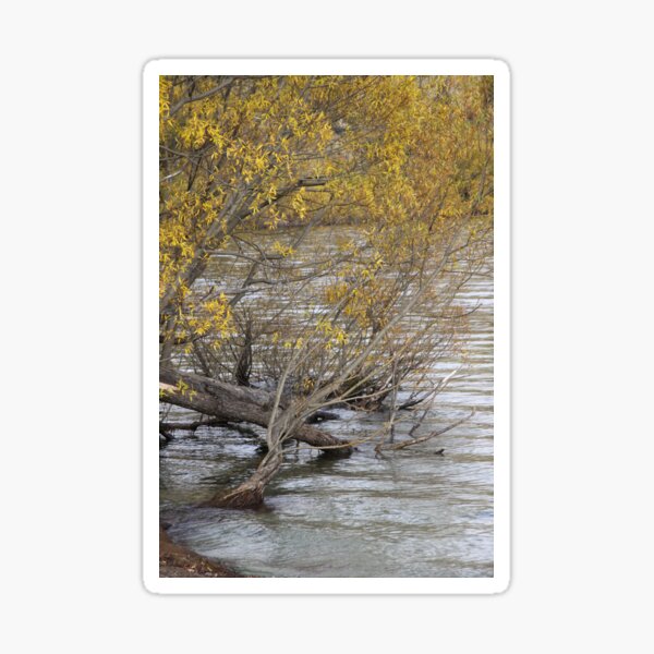 Item preview, Willow Water designed and sold by coffeebean.