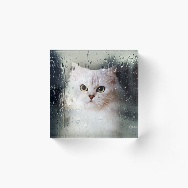 Mistletoe Through The Window Acrylic Block