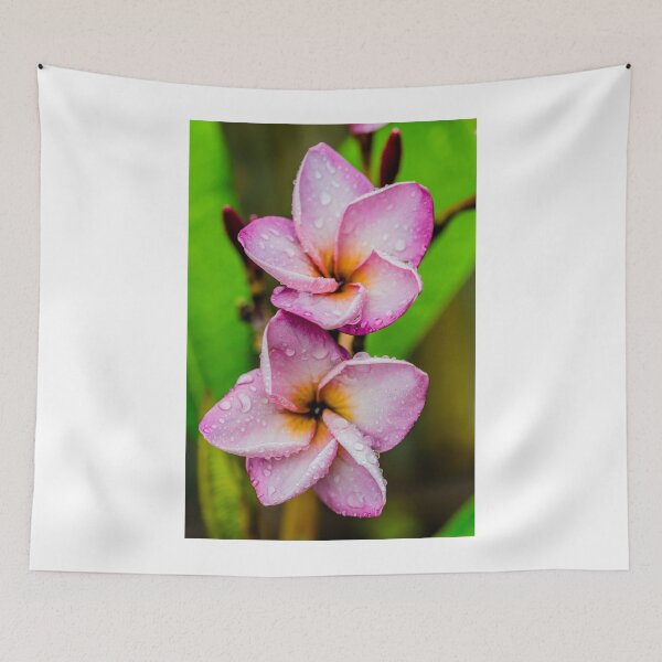 Item preview, Purple Frangipani 1 designed and sold by Keith's Photo Artistry.