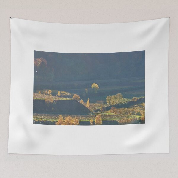 Item preview, Sunlight on autumn trees, Kaiserstuhl, Germany designed and sold by Mark Bangert.