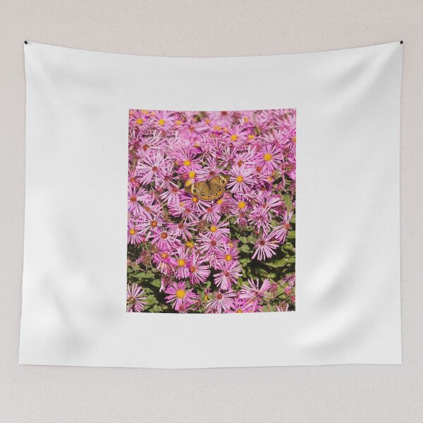 Item preview, Common Buckeye and Aster 2013-1 designed and sold by Thomasyoung.