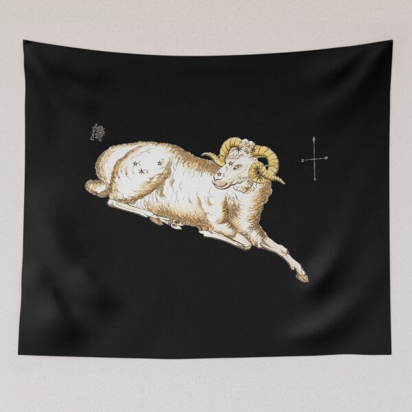 Item preview, The ram designed and sold by DrTigrou.